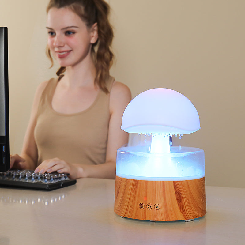 Rain Cloud Aroma Diffuser & Humidifier
