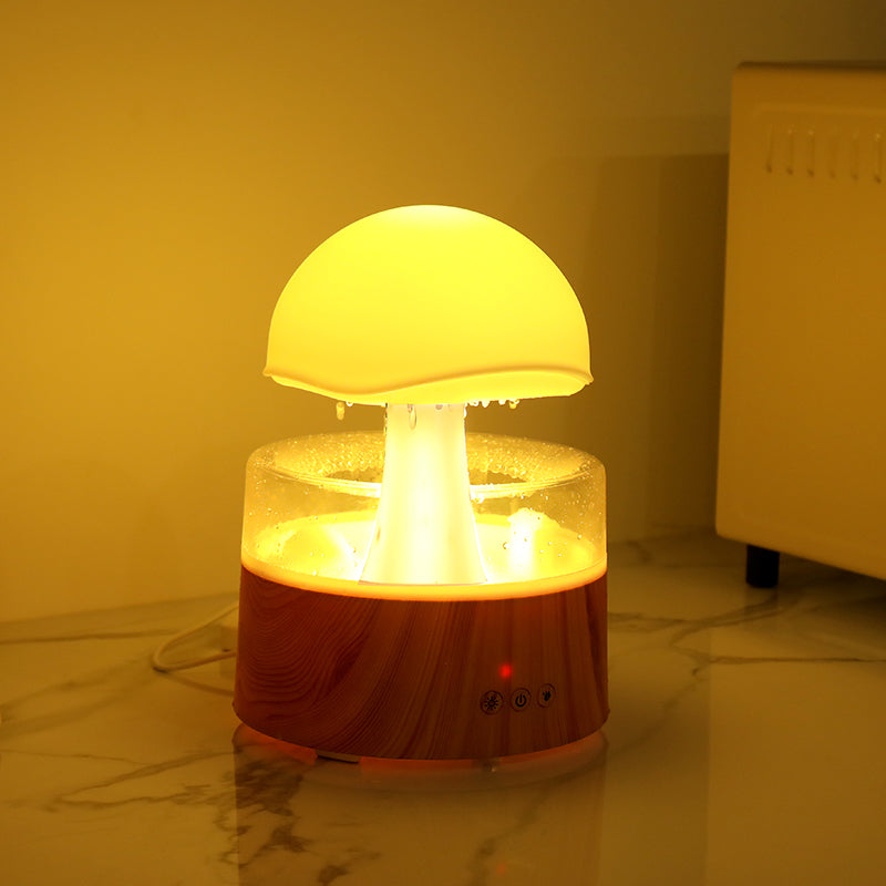 Rain Cloud Aroma Diffuser & Humidifier