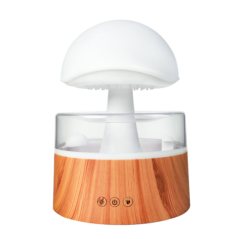 Rain Cloud Aroma Diffuser & Humidifier