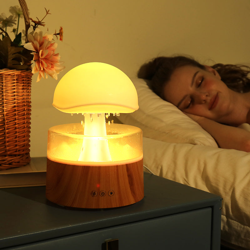 Rain Cloud Aroma Diffuser & Humidifier