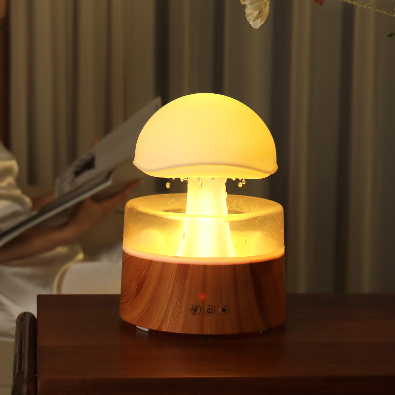 Rain Cloud Aroma Diffuser & Humidifier