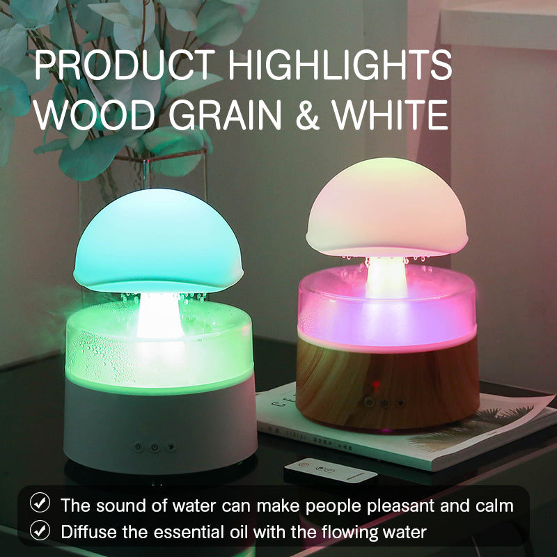 Rain Cloud Aroma Diffuser & Humidifier